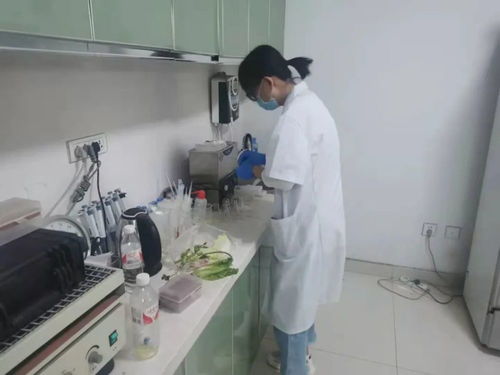 四大農(nóng)貿(mào)市場抽檢結(jié)果公布，36批次食用農(nóng)產(chǎn)品安全有保障