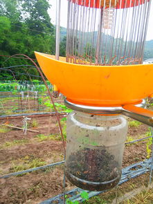 單燈太陽(yáng)能智能電網(wǎng)式滅蟲(chóng)器 前沿科技賦能綠色農(nóng)業(yè)，量產(chǎn)工藝揭示價(jià)錢(qián)密碼